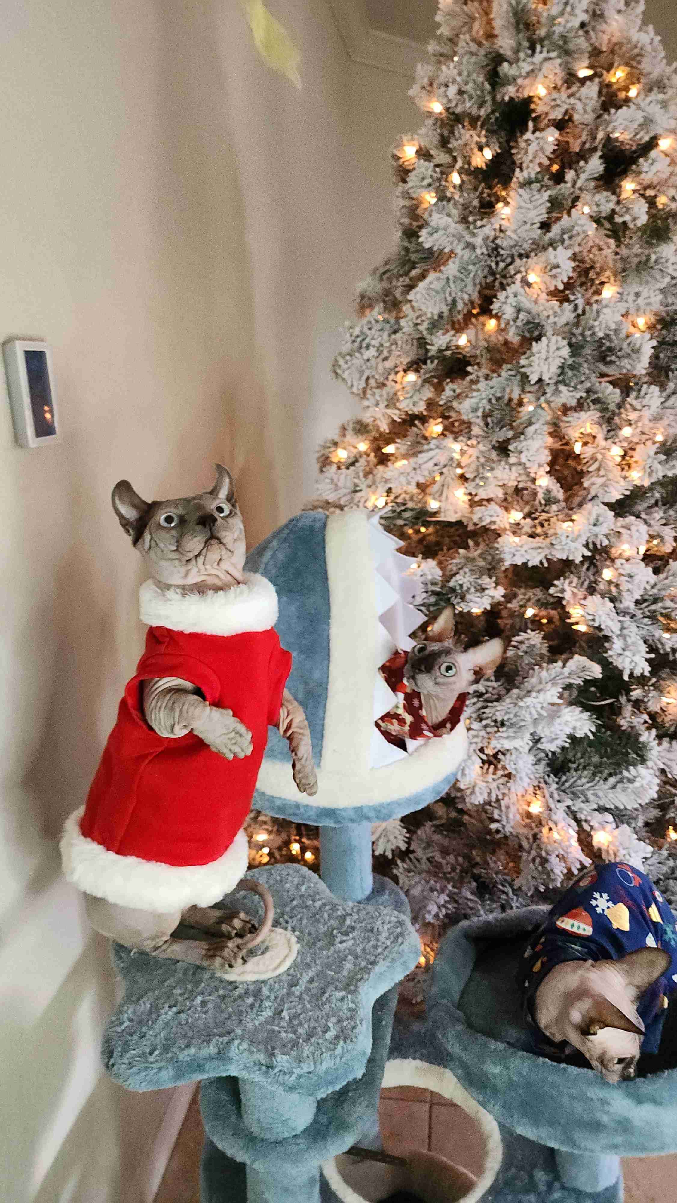 Yaheetech 45.5in Ocean-Themed Cat Tree Multi-Level Cat Tower - Image 8