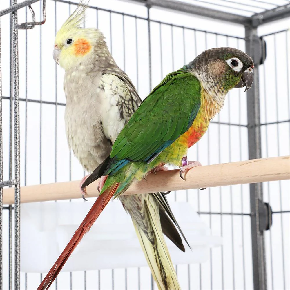 Yaheetech Large Bird Cage 52 Inch - Image 5