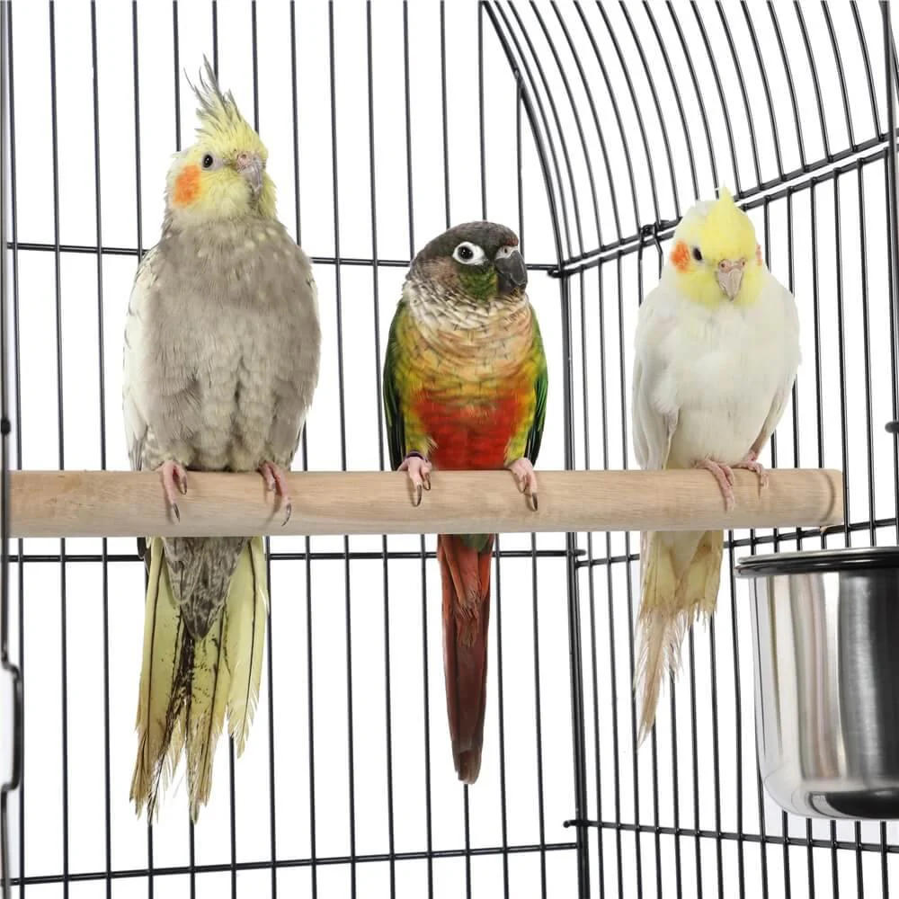 Yaheetech 59 Inch Bird Cage - Image 4